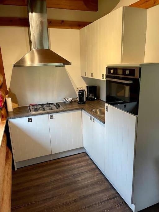 Unieke Houten Villa Met Sauna In Twente - 6P Den Ham Exterior foto