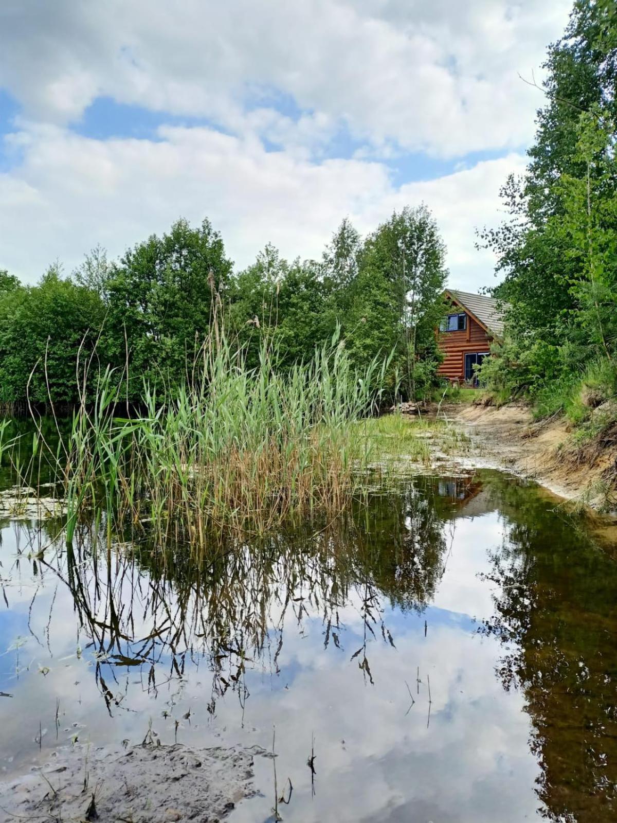 Unieke Houten Villa Met Sauna In Twente - 6P Den Ham Exterior foto